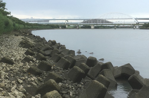 江北橋南側下流域画像