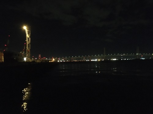夜のD突堤画像