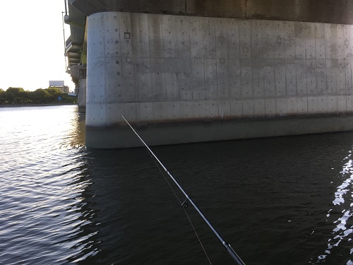 荒川江北橋下でのクロダイ釣るよ！画像