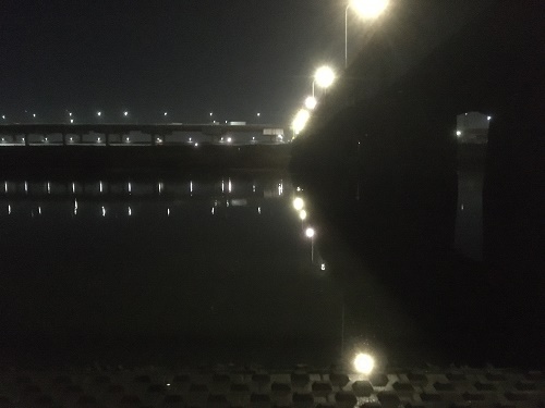鹿浜橋下明暗画像